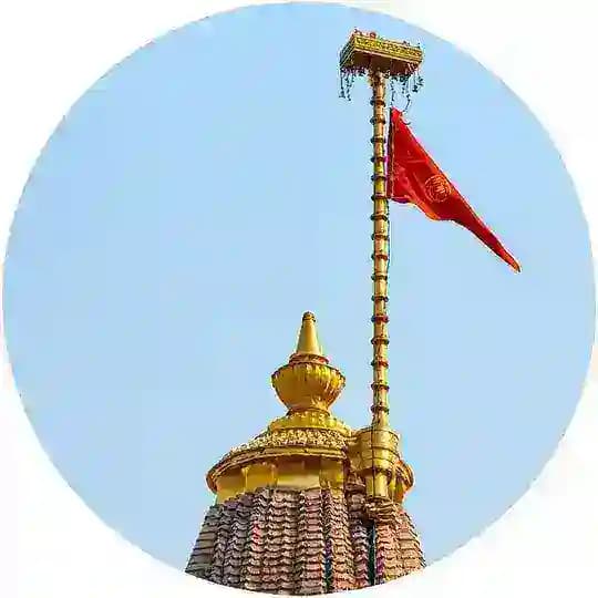 Protein_Deals 💪 Profile