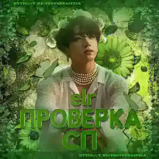 проверка сп ᵉᶫʳ