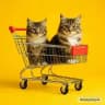 Тележка с котиками 🛒