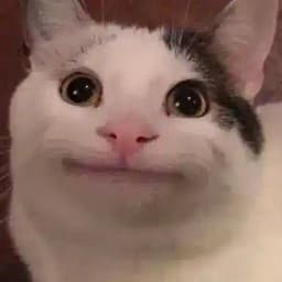 PωSSY₊˚ꜱʜᴇʀ Profile