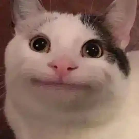 PωSSY₊˚ꜱʜᴇʀ Profile