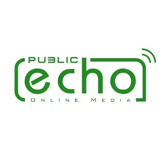 Public Echo Online Media