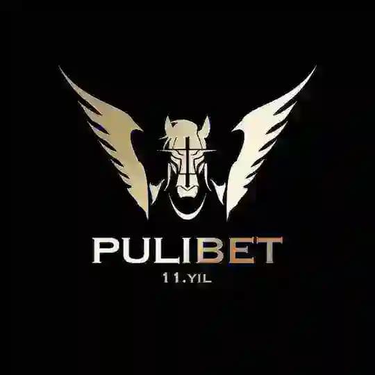 Puli Resmi