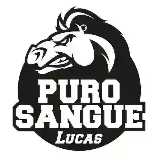 Purosangue Lucas Official π