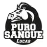 Purosangue Lucas Official 🐎