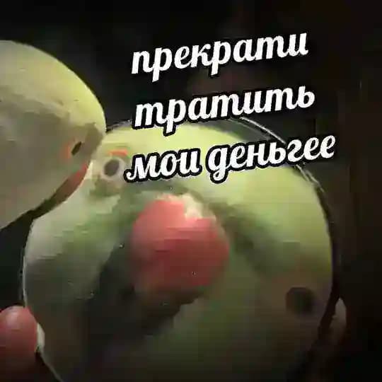 pushaludik - ХАЛЯВЫ + ПРОМОКОДЫ НА САЙТЫ
