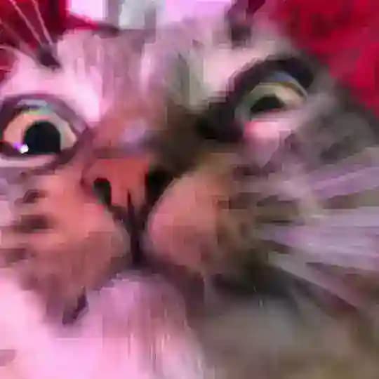 PUSYHAR