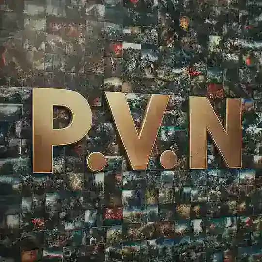 PVN Main | قناة الشبكة العامة