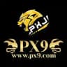 PXJ-VIP