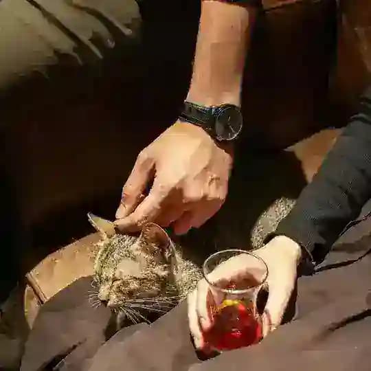 غَيمّة 〽️' Profile