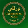 QALBIM NURI