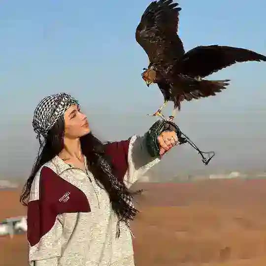 𝒬𝒶𝓃𝒸𝒽ℴ𝓎