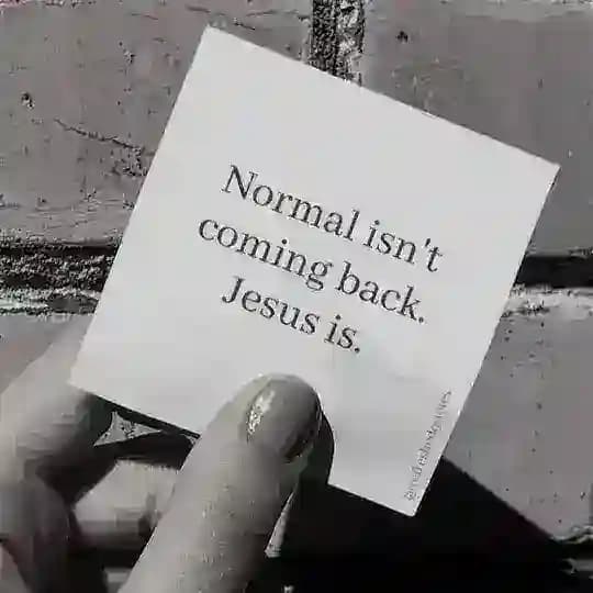 Qanon belgium Profile