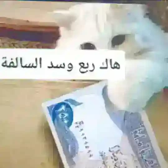 .قاسم