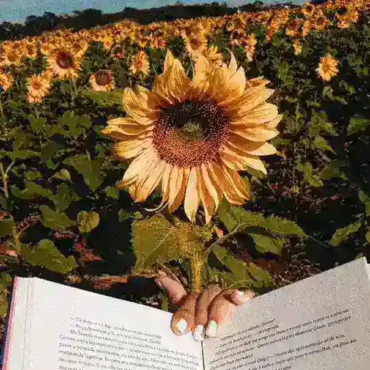 تـێـکـستـەکـانـۍ قـاوەخـانـە🦉 Profile