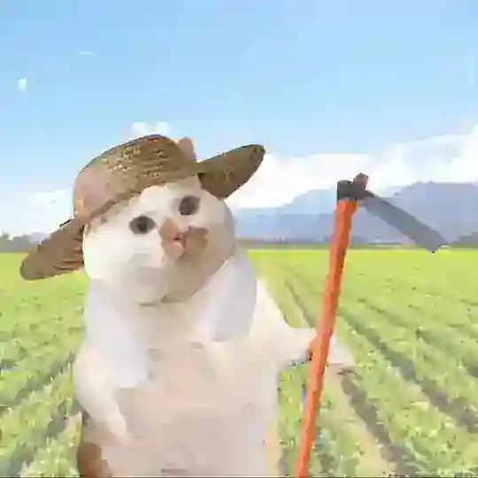 今天你飞了吗