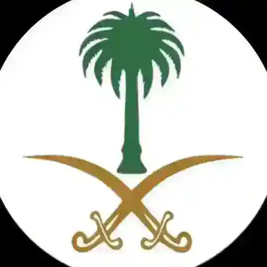 95 نموذج ملخصة (ورقي)