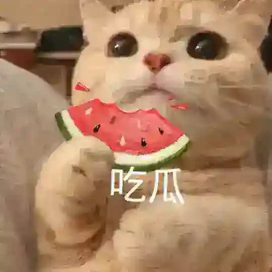 🅥吃瓜群众|国产精选视频