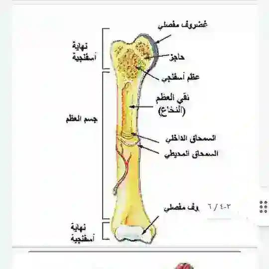 قناة صف ثالث متوسط اسئله وزاريه