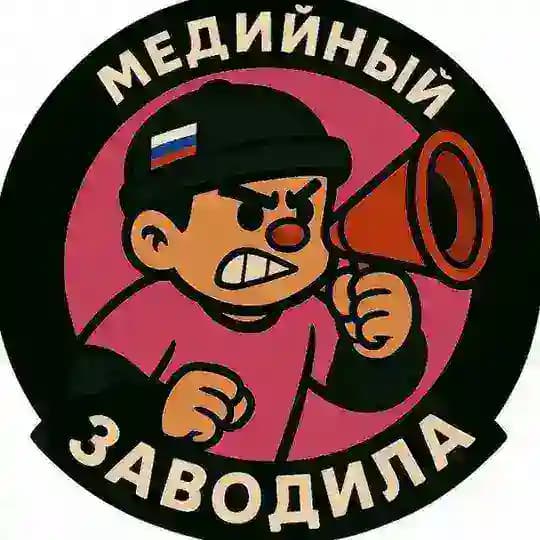 Медийный Заводила