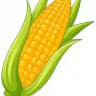 QUALITY CORN