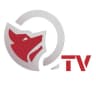 Q Tv official 3.0 - Qui radio londra Tv NEWS h24