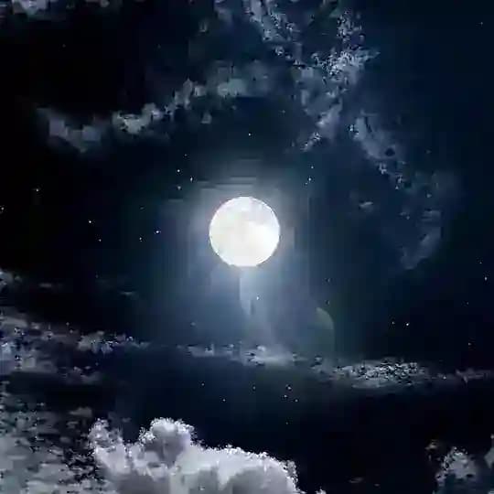 سُورة البقرة كل يوم❤️.