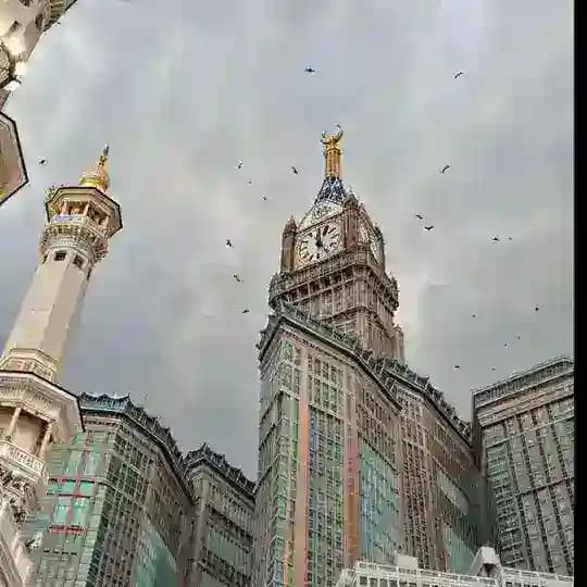 أَذَكَارَ ، قُرَآنَ ‏﴿ وَاذْكُر ربّكَ إِذَا نَسِيتَ ﴾