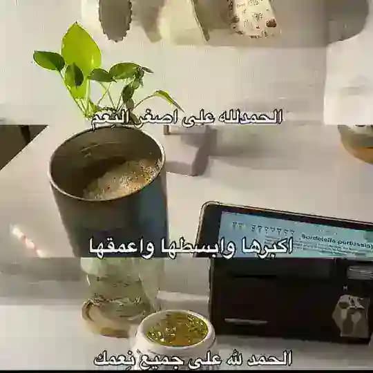 قرٱن | Quran