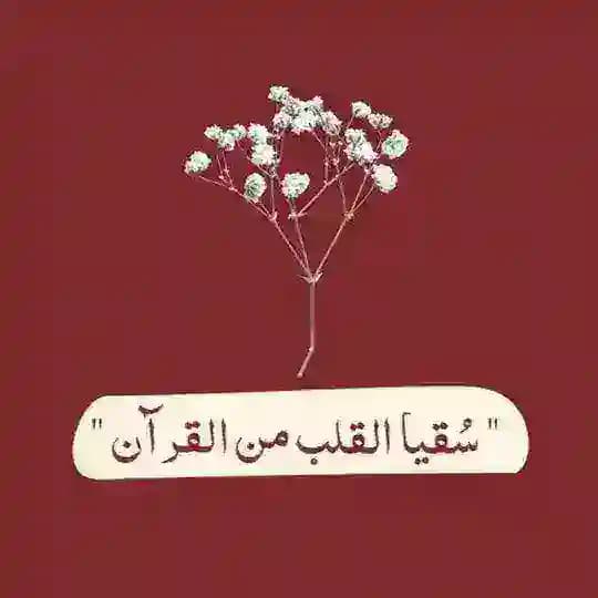 سُقيا القلب من القرآنᥫ᭡