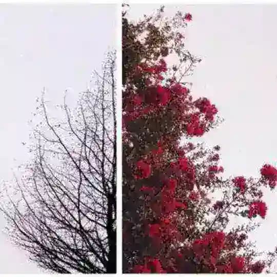 - دعاء و اقتباسات قرانيه 🤍.