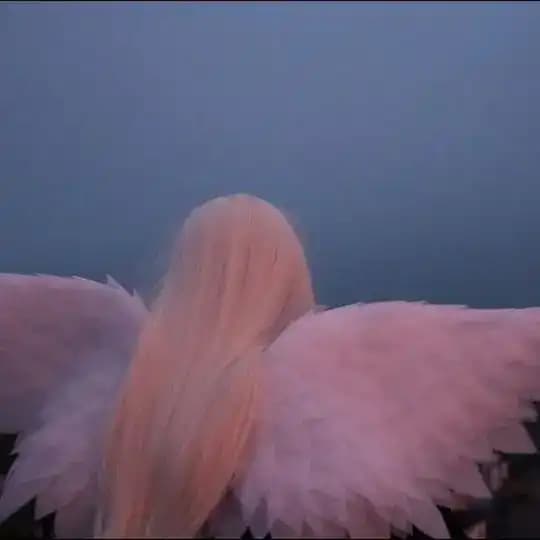 [🫧]фоны щп/авы Profile