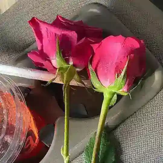 زاد الخيـــــر🌺