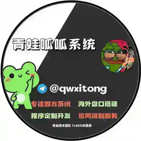 青蛙四方系统-代收-代付系统