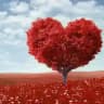 📝ʀєςɑитღ ∂ɑs ɨиsρɨʀɑçõєs ❤️