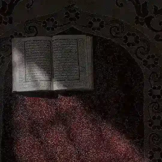 القرآن الكريم🩶قرآن,اذكار,ادعيه