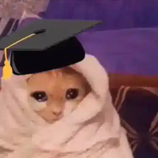 ملخصات وزاري اشعة رابعة✨