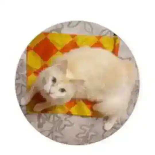 Radi_ugara