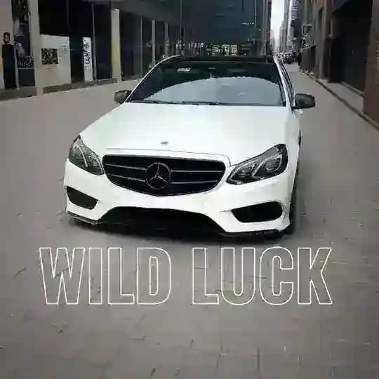 Wild Luck
