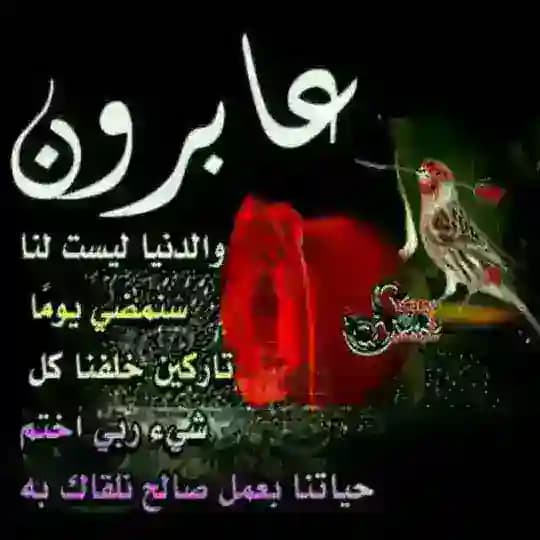 سنرحل ويبقى الاثر ❤️صدقة جاريه عن محمد ناصر الكثيري💓
