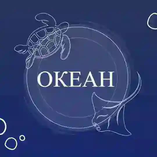 OКЕАН 🌊💙