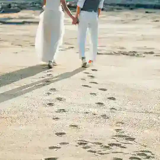 rakadira's home Profile