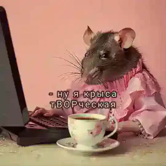 - ты крыса - да я крыса