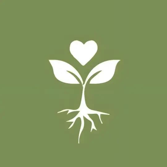 رَوَنـ🌱ـد