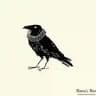 raven's nest • vintage