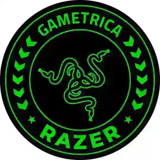 Gametrica.ru (Razer.ru фирменный магазин)