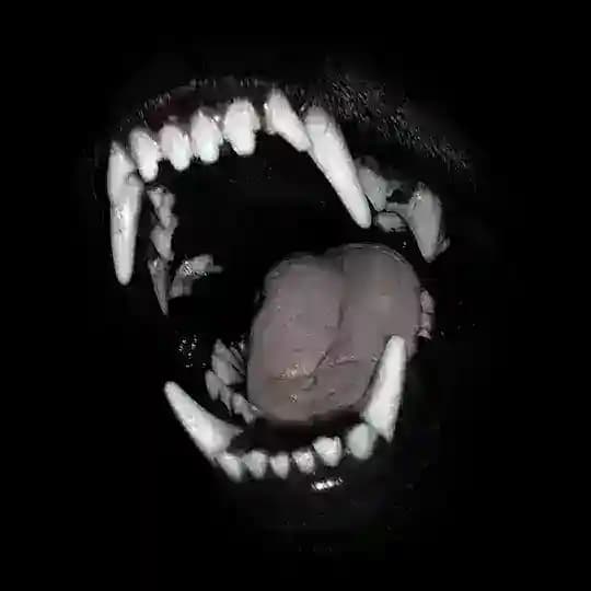 Kasls
