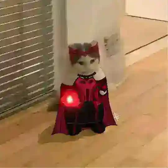 THE SCARLET WITCH CHANNEL