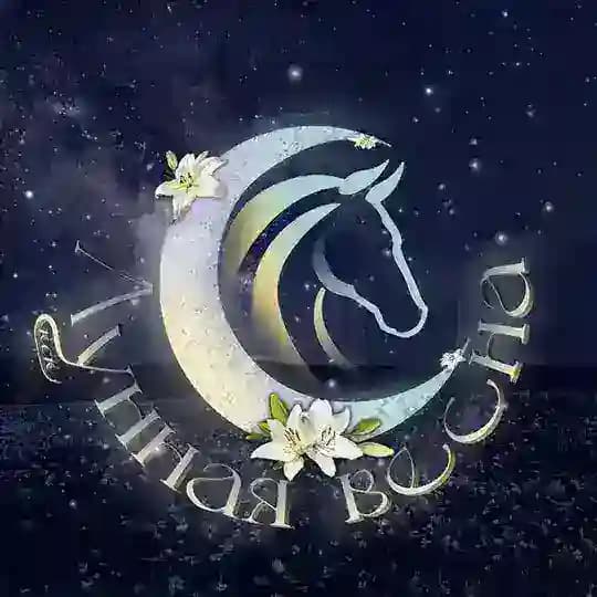 Ꮧуннᴀя ʙᴇᴄнᴀ🌌