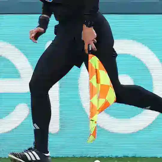 Referees Opinion